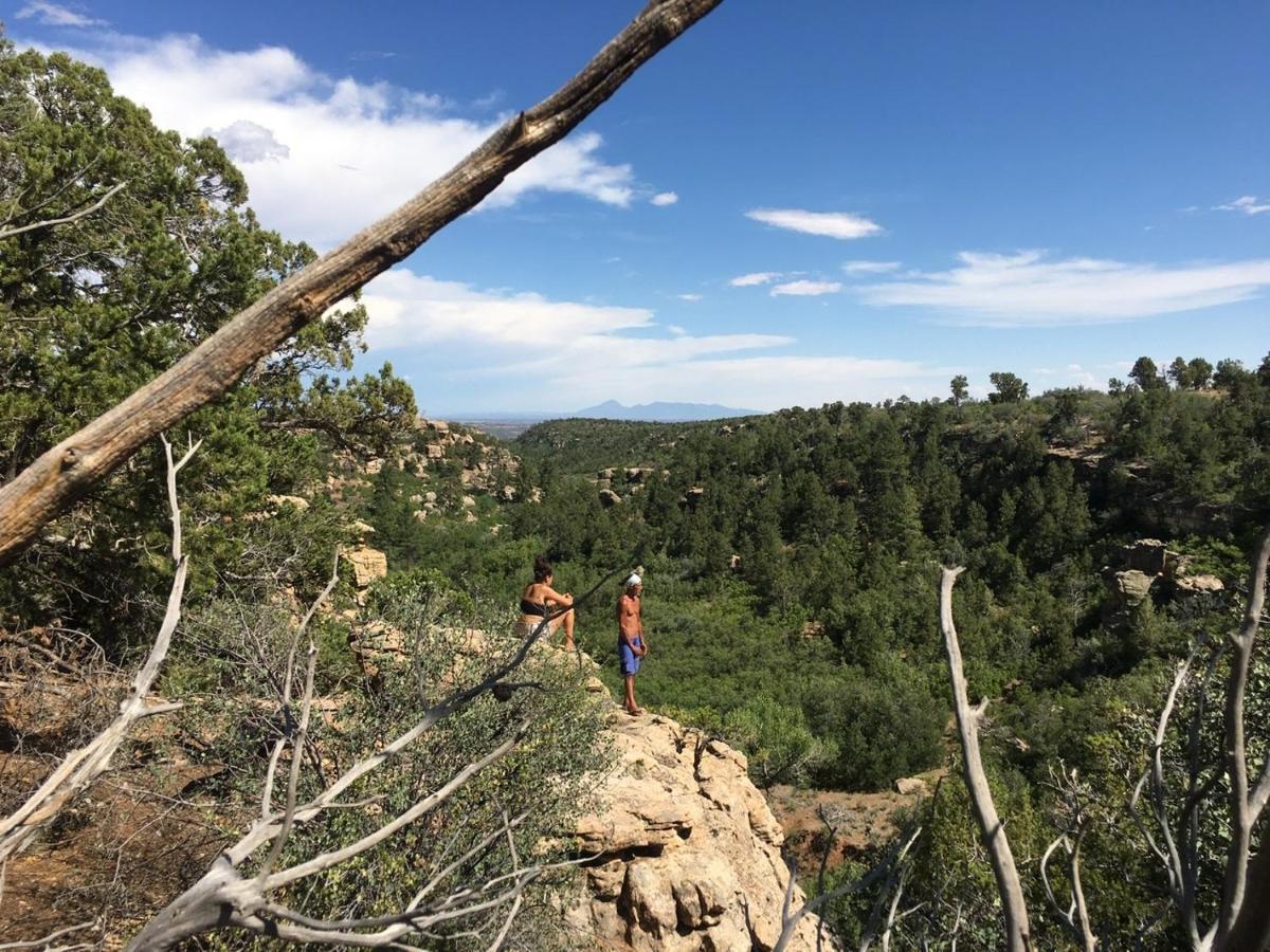 Indian Canyon Ranch * Verdure
