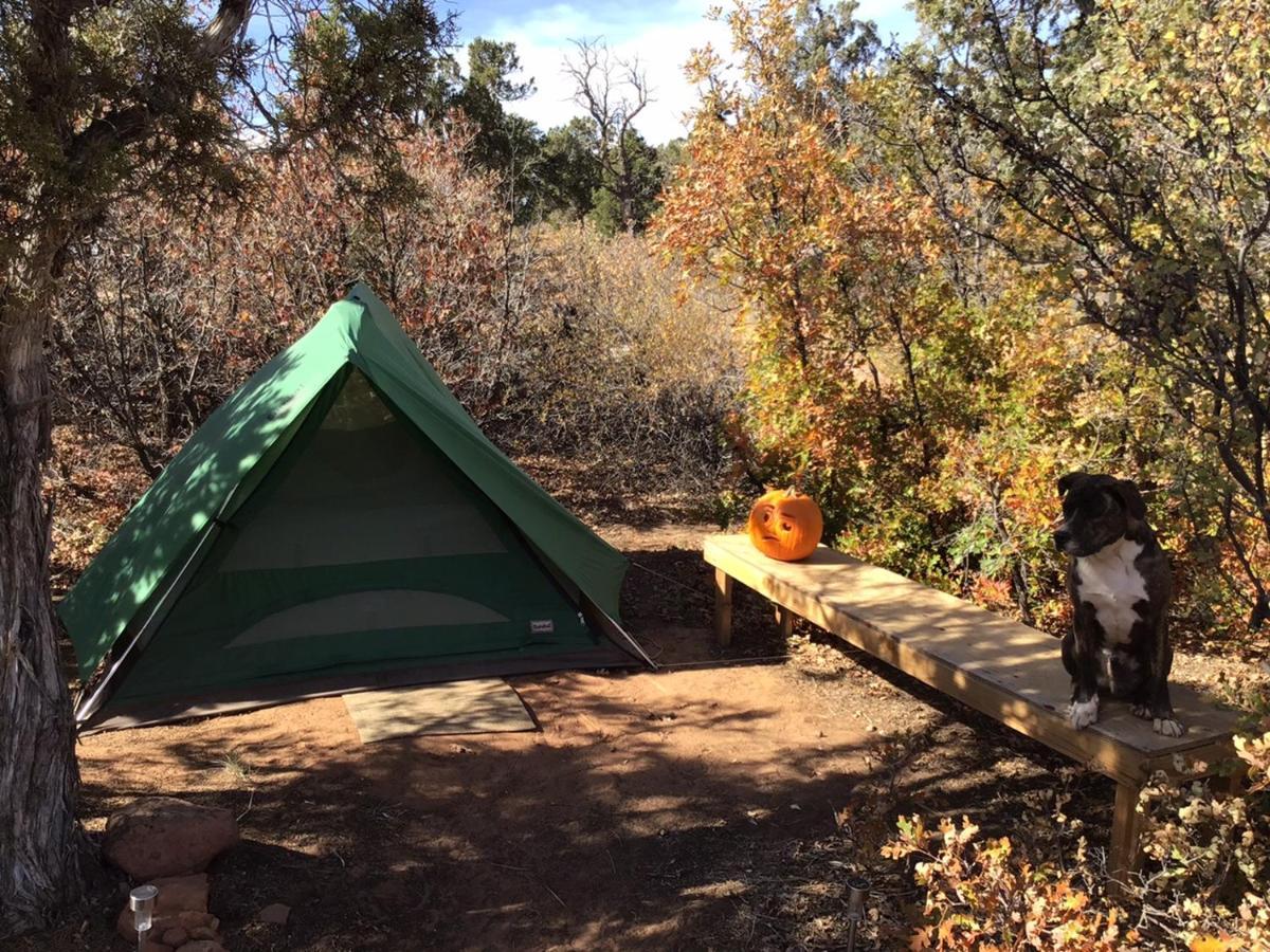 Indian Canyon Ranch Camping *