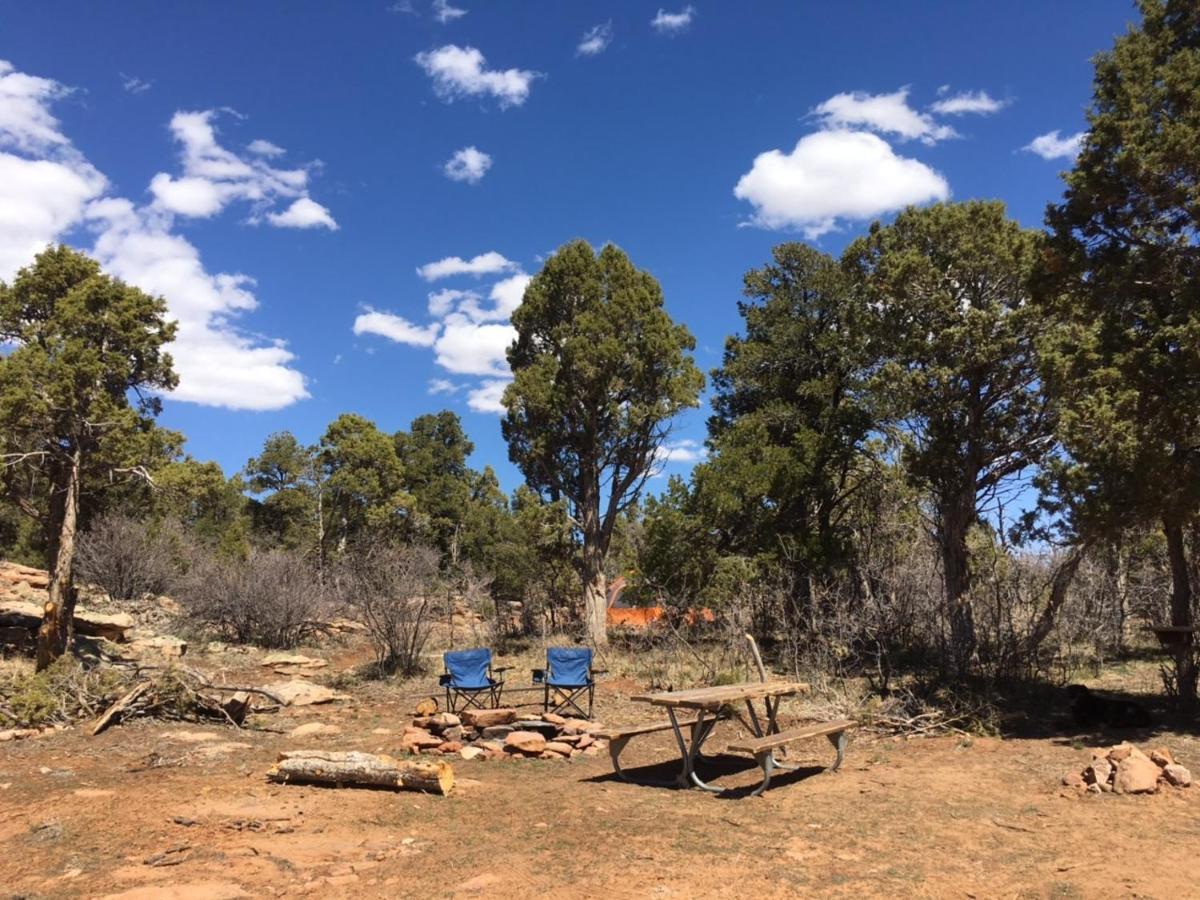 Indian Canyon Ranch * Verdure